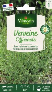 Verveine Officinale